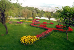 B�y�k �aml�ca