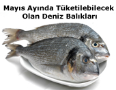 Mayıs Ayında Tüketilebilecek Balıklar