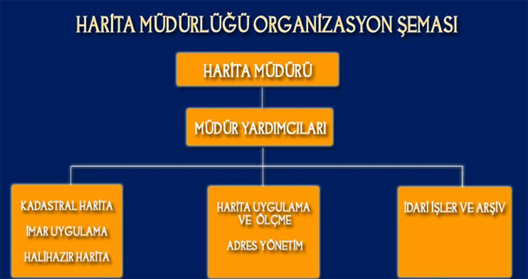 organizasyon_semasi